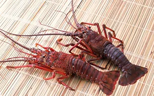 Two Red Lobsters On Bamboo Mat Wallpaper