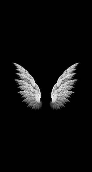 Two White Angel Wings On A Black Background Wallpaper