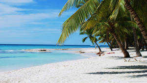 Typical Dominican Republic Beach Wallpaper