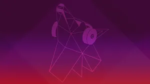 Ubuntu Disco Dingo Hd Wallpaper