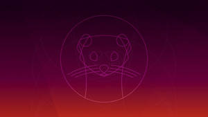 Ubuntu Focal Fossa Cat Wallpaper