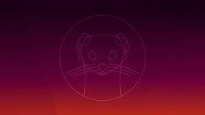 Ubuntu Focal Fossa Cat Wallpaper