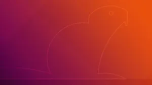 Ubuntu Raving Rabbit Hd Wallpaper