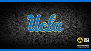 Ucla Rallying Crowd Wallpaper