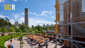 Ucr Carillon Bell Tower Standing Majestic In Daylight Wallpaper