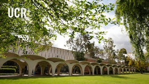 Ucr Tomas Rivera Library Surrounded By Lush Green Trees Wallpaper