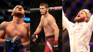 Ufc Superstars Rafael Fiziev Wallpaper