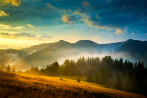 Ukraine Foggy Mountain Wallpaper