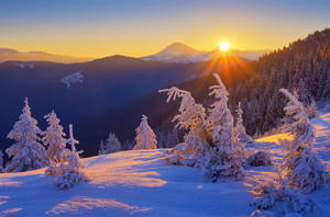 Ukraine Winter Mountain Wallpaper