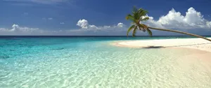 Ultrawide Beach Wallpaper