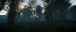 Ultrawide Forest Wallpaper