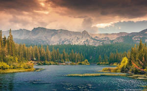 Ultrawide Nature Wallpaper