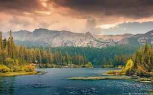 Ultrawide Nature Wallpaper