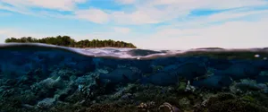 Ultrawide Ocean Wallpaper