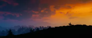 Ultrawide Sunset Wallpaper