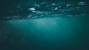 Under The Water Photography Wallpaper