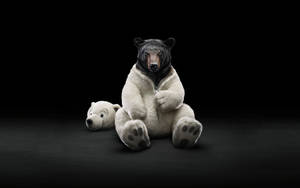Undercover Bear Humor Wallpaper