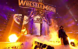 Undertaker Wrestle Mania25th Anniversary Entrance Wallpaper