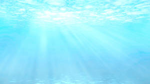 Underwater Baby Blue Sea Wallpaper