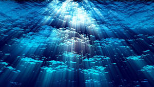 Underwater Sun Rays Wallpaper