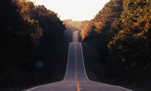 Undulating Road Wallpaper