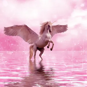 Unicorn And Pink River Wallpaper