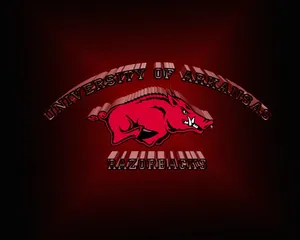 University Of Arkansas Razorbacks Wallpaper