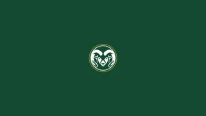 University Of Colorado At Boulder Buffalo Icon Wallpaper