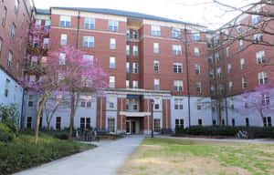 University Of Georgia Vandiver Hall Wallpaper