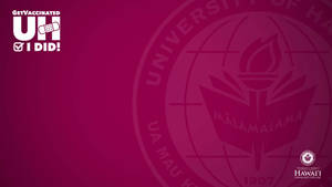 University Of Hawaii Magenta Wallpaper