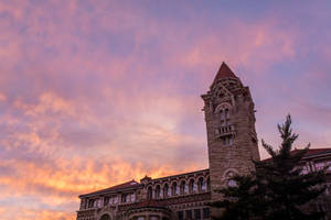 University Of Kansas National History Museum Wallpaper