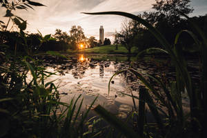 University Of Kansas Potter Lake View Wallpaper