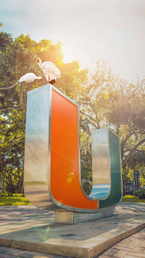 University Of Miami Metal Logo Statue Wallpaper