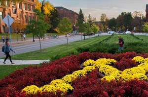 University Of Minnesota Logo In Garden Wallpaper