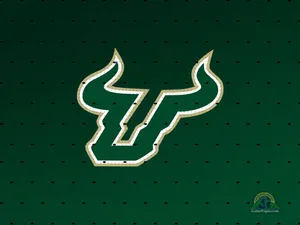University Of South Florida Bulls Green Desktop Wallpaper