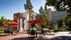 University Of Southern California Viterbi Building Wallpaper