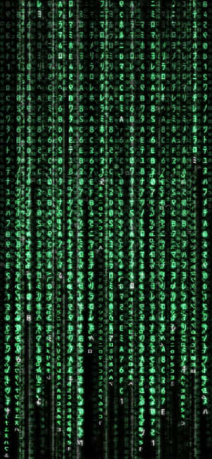 Unlock The Power Of The Matrix Iphone Wallpaper