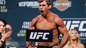 Urijah Faber Flexing And Yelling Wallpaper