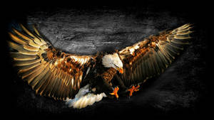 Us Eagle In Flight Wallpaper