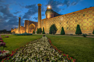 Uzbekistan Samarkand Garden Wallpaper