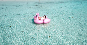 Vacation Flamingo Floatie Wallpaper