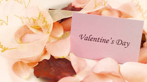 Valentine's Card With Petals Wallpaper