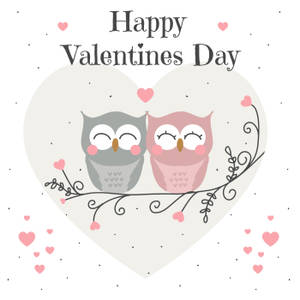 Valentine's Owl Couple Wallpaper