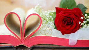 Valentines Day Wedding Bible Wallpaper