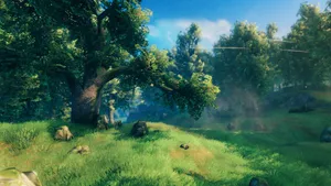 Valheim Plains And Forest Biome Wallpaper