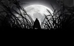 Vampire Full Moon Silhouette Wallpaper