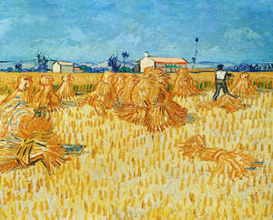 Van Gogh Harvest In Provence Wallpaper