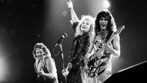 Van Halen Rock Band Live Concert Wallpaper