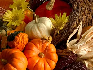 Vegetable For Fall Wallpaper