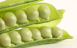 Vegetable Green Peas Close Up Wallpaper